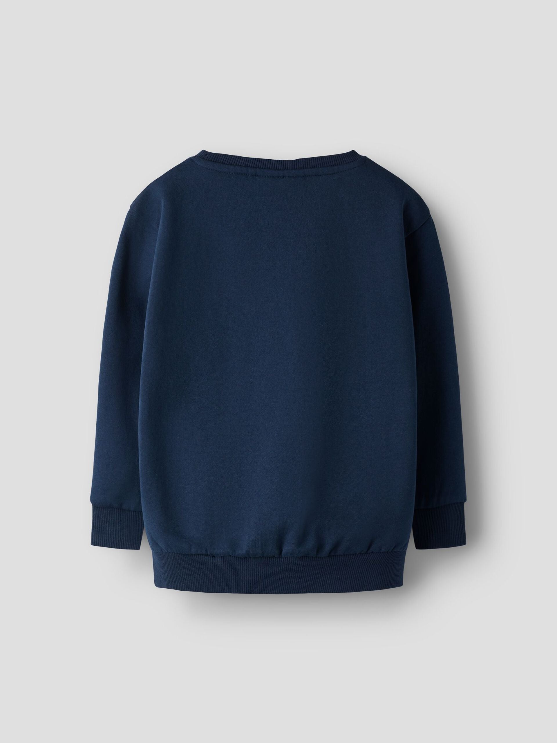 Name it-NMMLORENZO LS NREG SWEAT BRU BOX