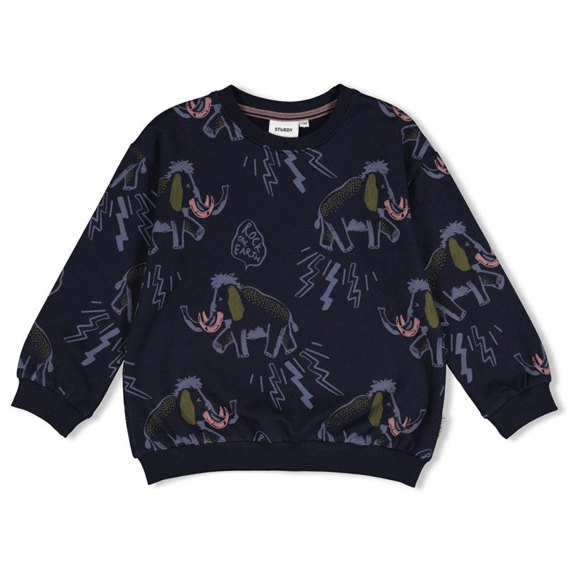Sturdy-Sweater AOP relaxed fit - Rock the Earth