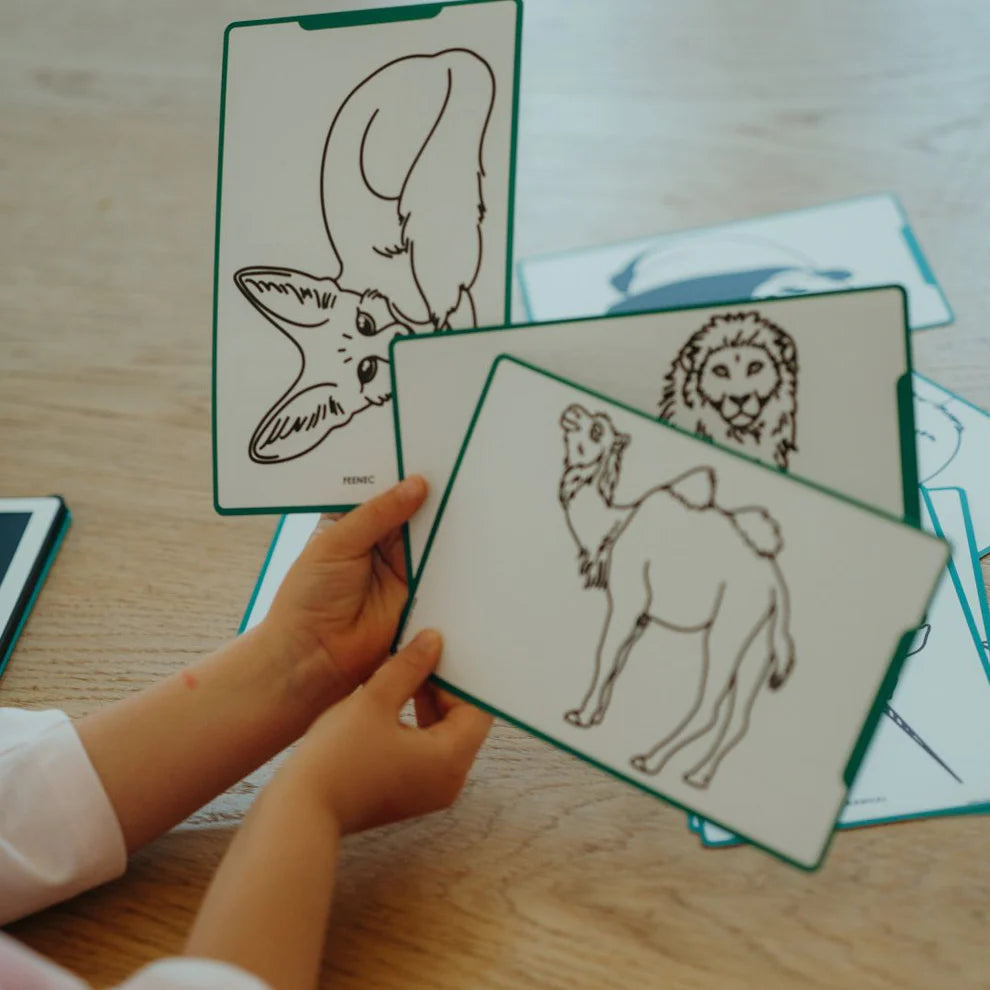 Kidywolf - Nachfüllpackung KIDYDRAW-MINI