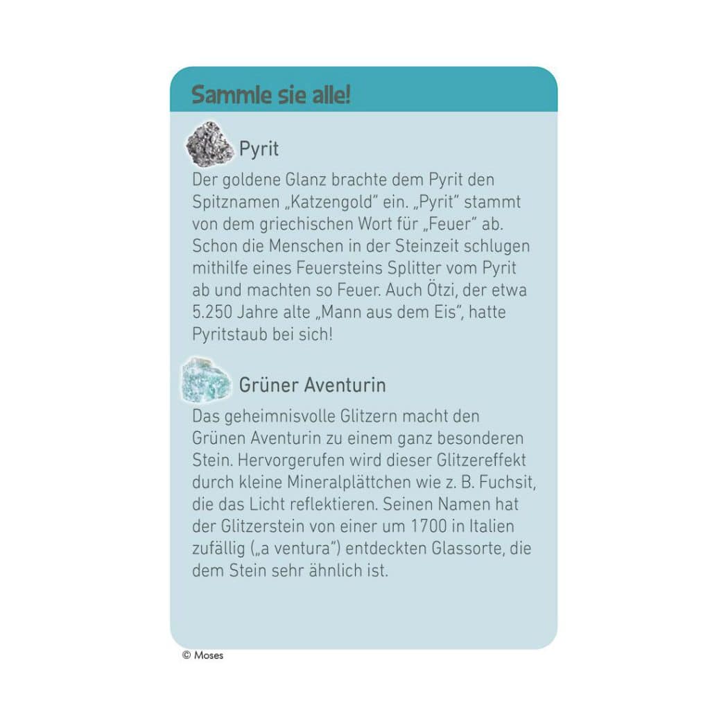 Moses-Exp. Natur Mini-Ausgrabungssets