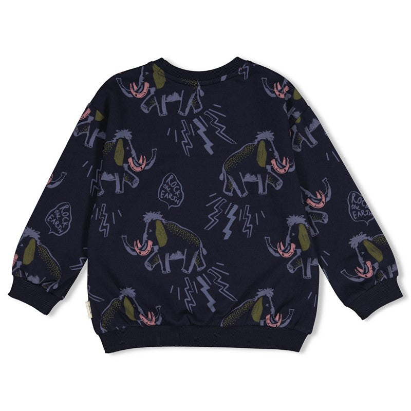 Sturdy-Sweater AOP relaxed fit - Rock the Earth
