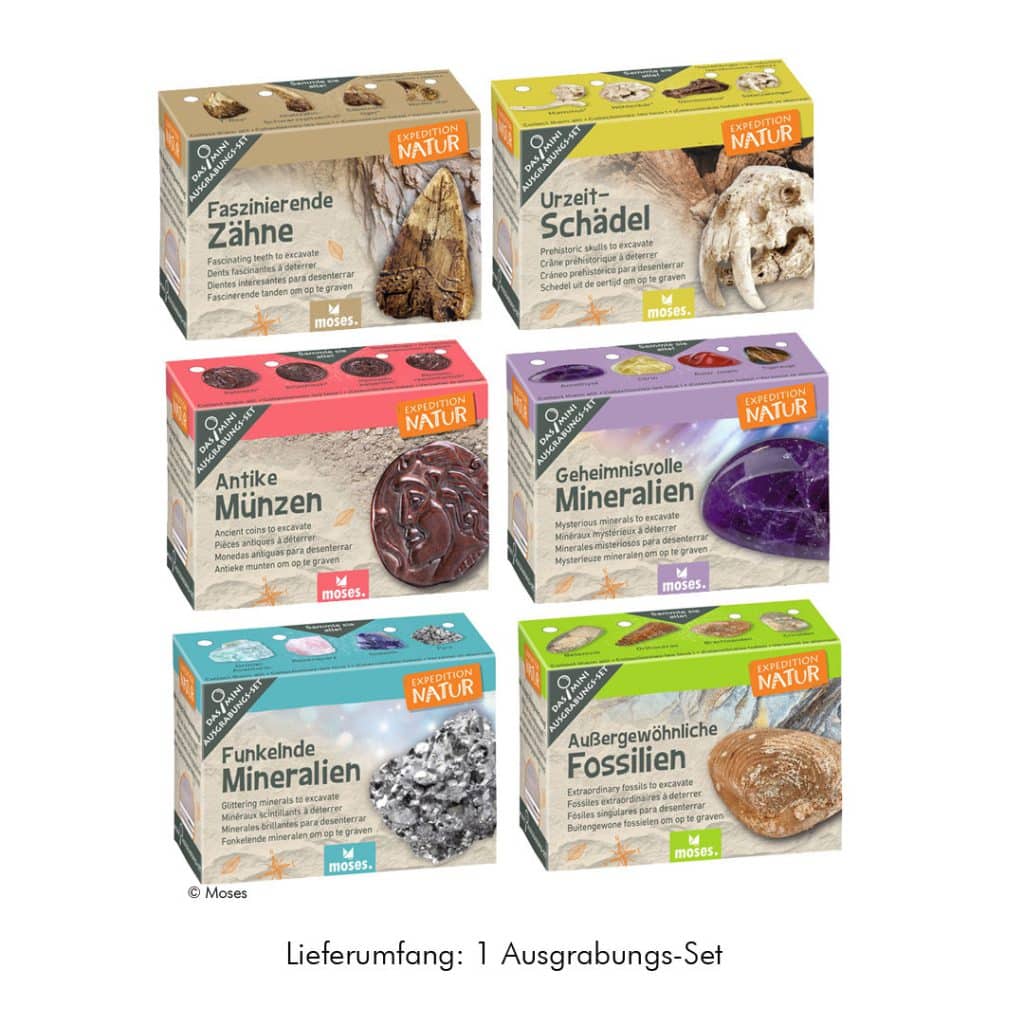 Moses-Exp. Natur Mini-Ausgrabungssets