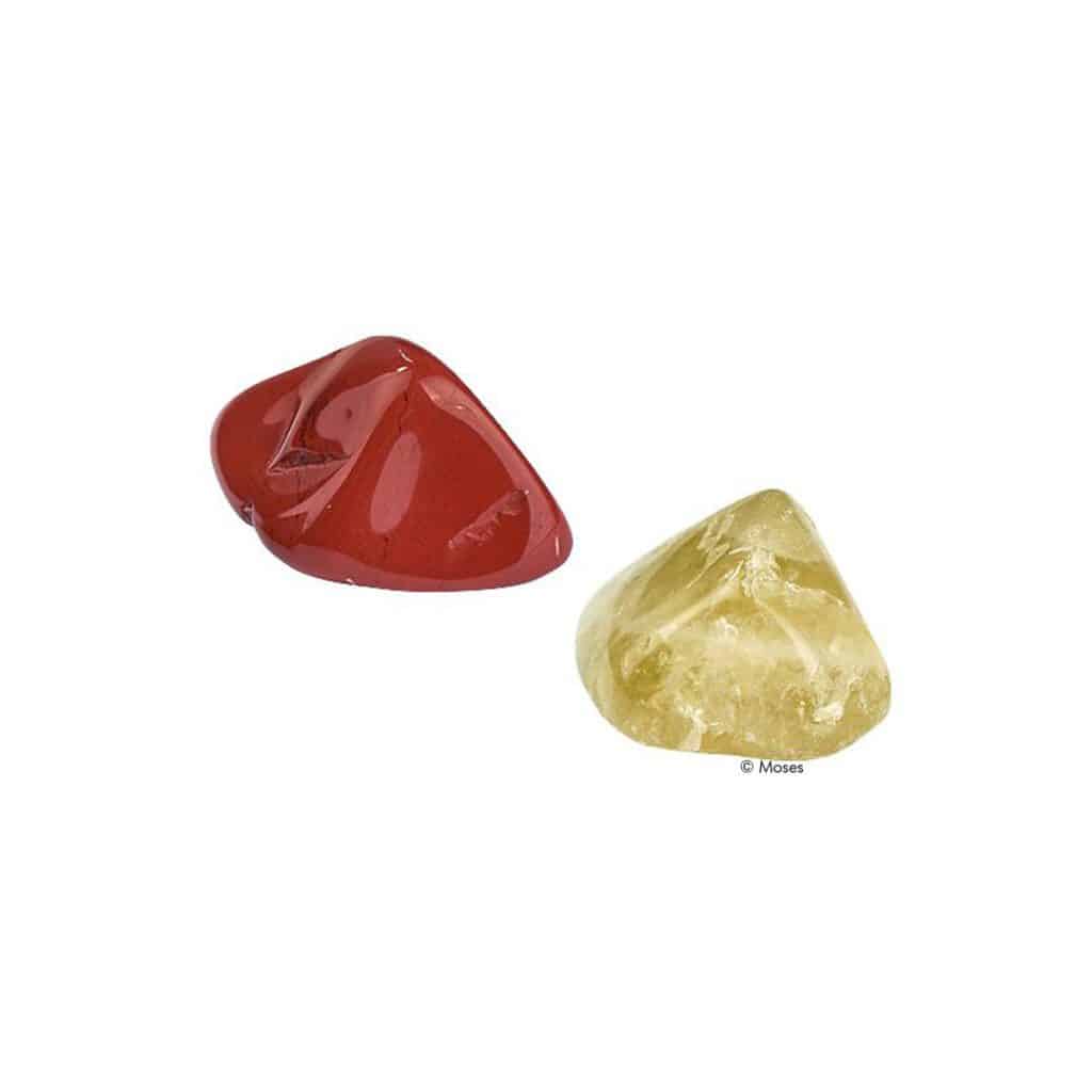 Moses-Exp. Natur Mini-Ausgrabungssets