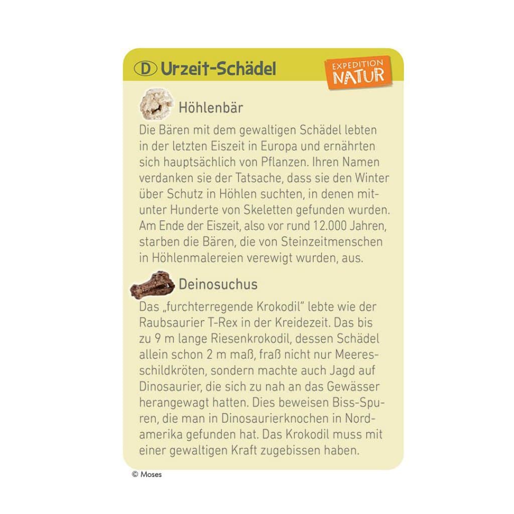 Moses-Exp. Natur Mini-Ausgrabungssets