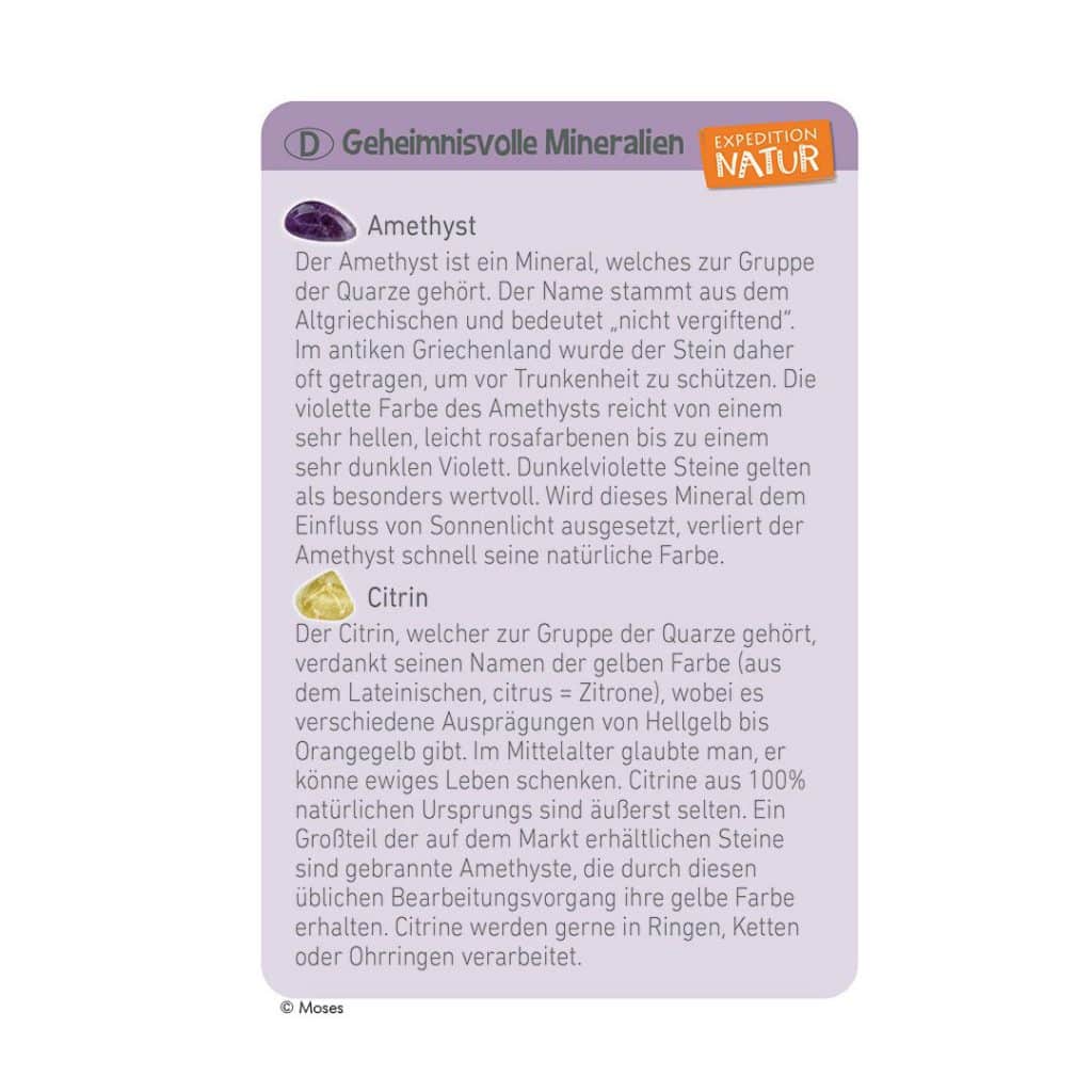 Moses-Exp. Natur Mini-Ausgrabungssets