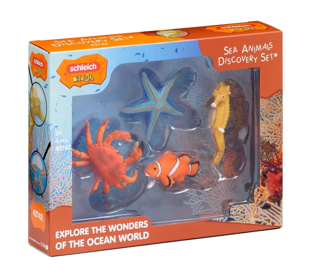 Meerestiere Entdecker Set