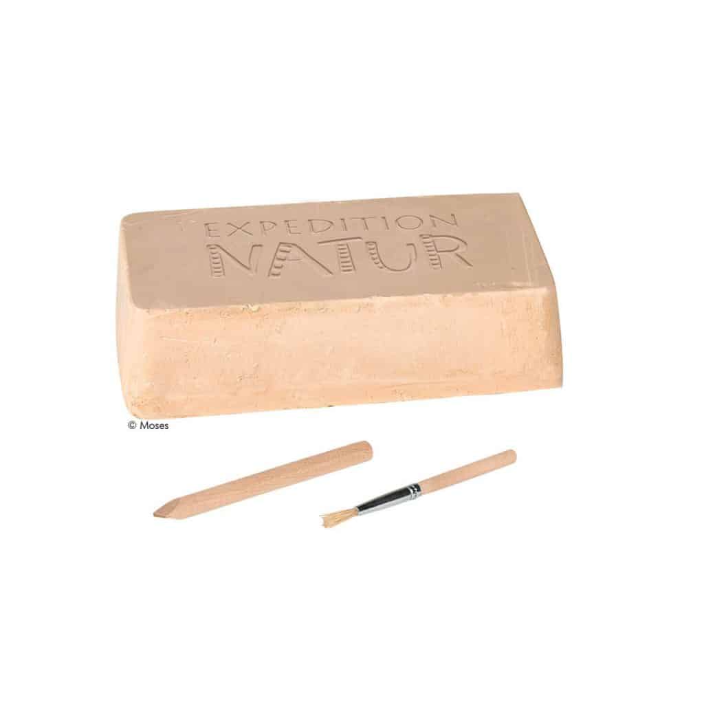 Moses-Exp. Natur Mini-Ausgrabungssets